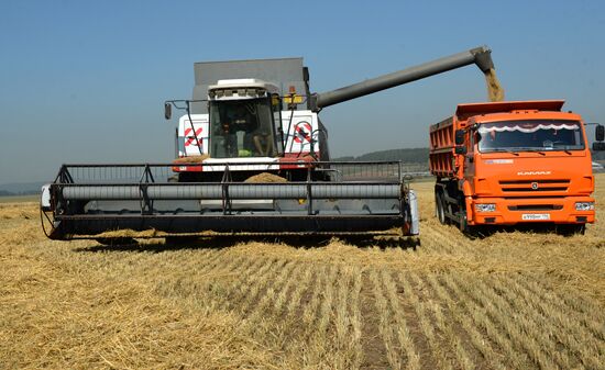 Crops harvesting in Sverdlovsk Region