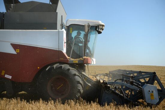 Crops harvesting in Sverdlovsk Region