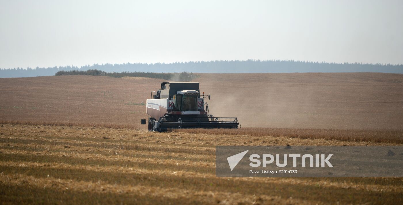 Crops harvesting in Sverdlovsk Region