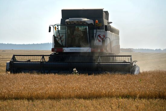 Crops harvesting in Sverdlovsk Region