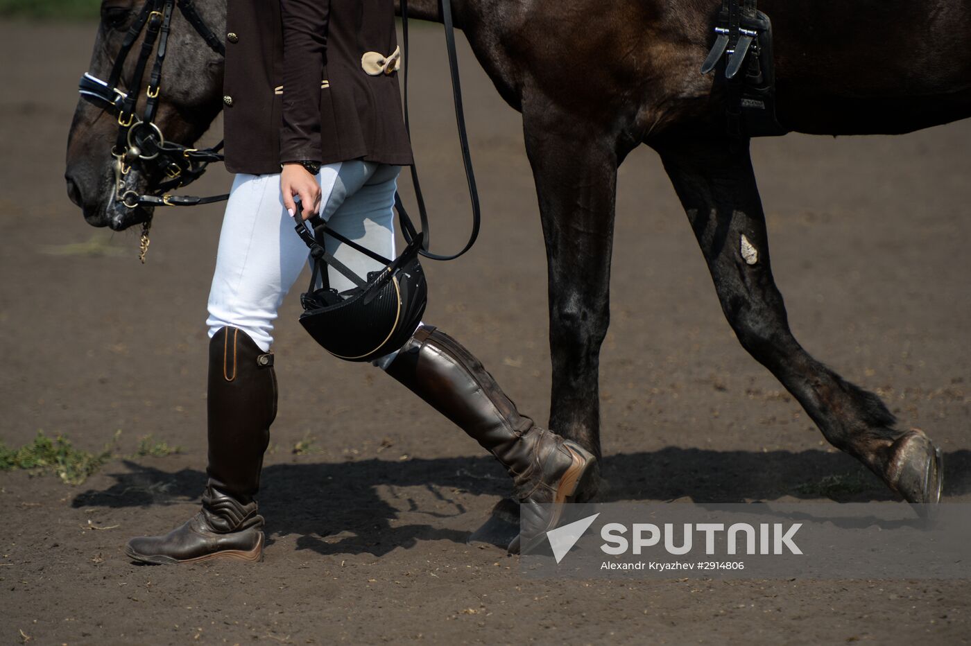 The Novosibirsk Region Show Jumping and Dressage Championships