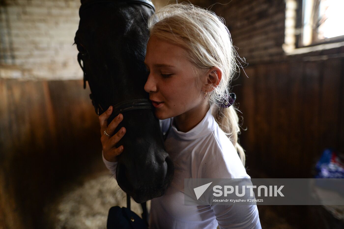 The Novosibirsk Region Show Jumping and Dressage Championships