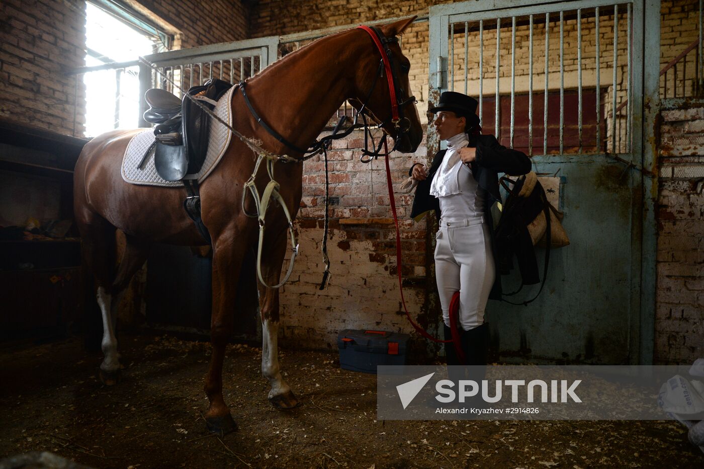 The Novosibirsk Region Show Jumping and Dressage Championships