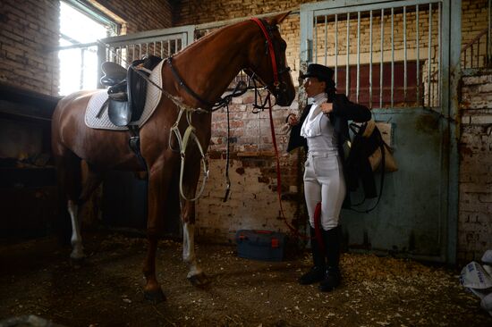 The Novosibirsk Region Show Jumping and Dressage Championships