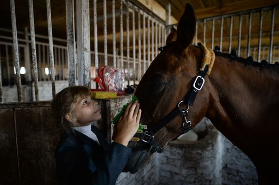 The Novosibirsk Region Show Jumping and Dressage Championships