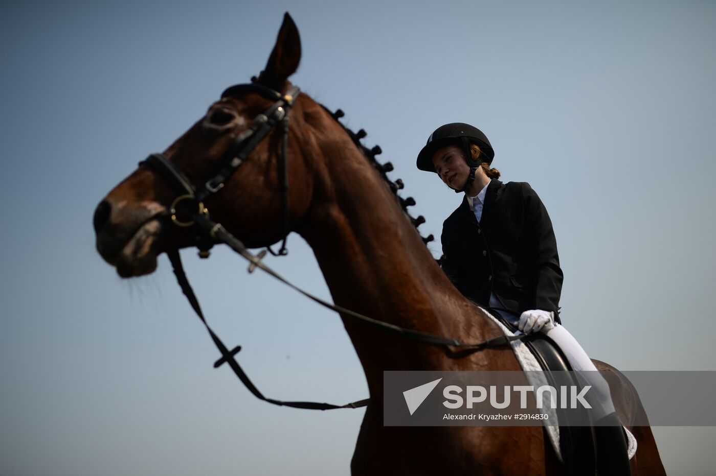 The Novosibirsk Region Show Jumping and Dressage Championships