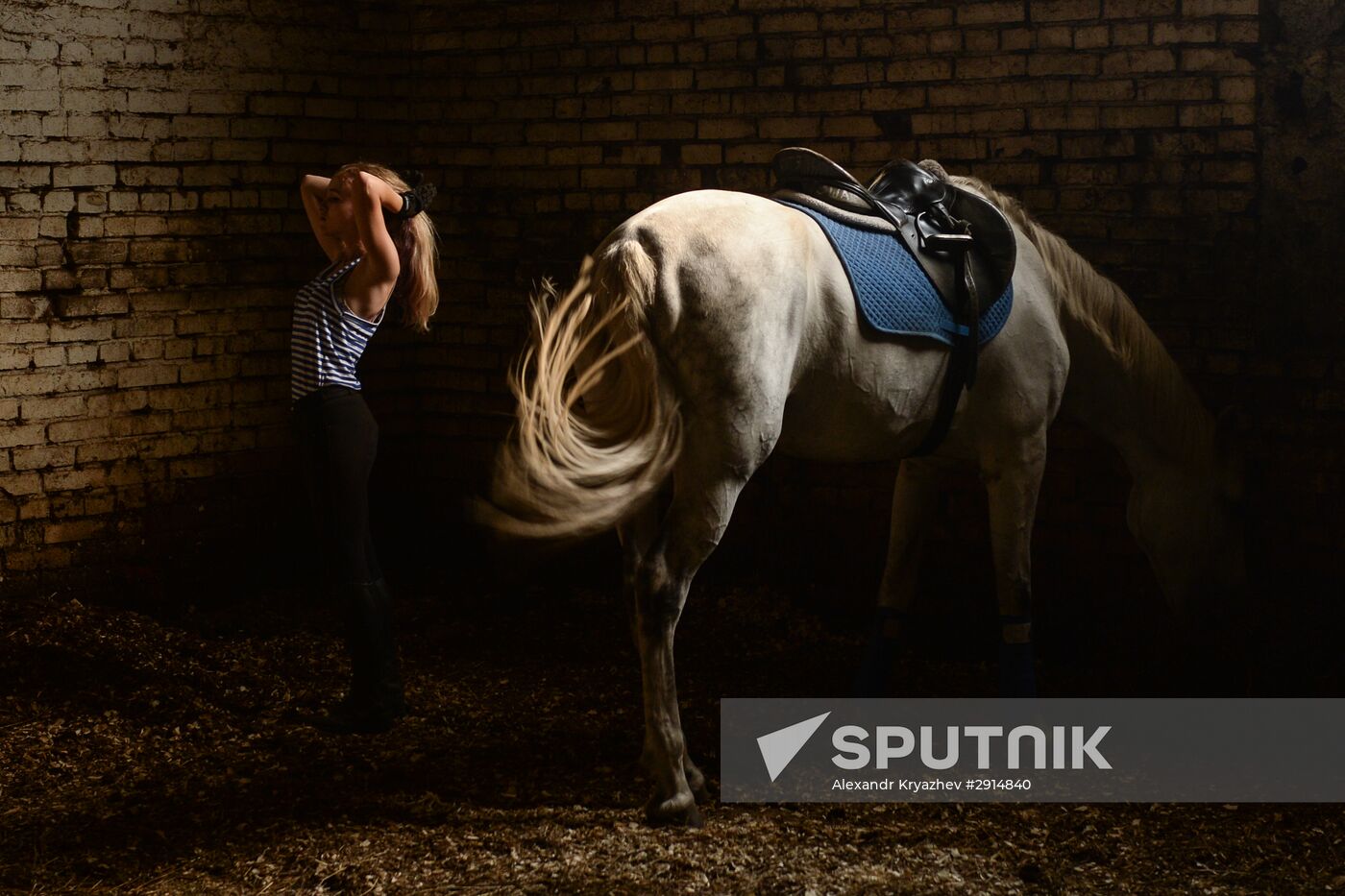 The Novosibirsk Region Show Jumping and Dressage Championships