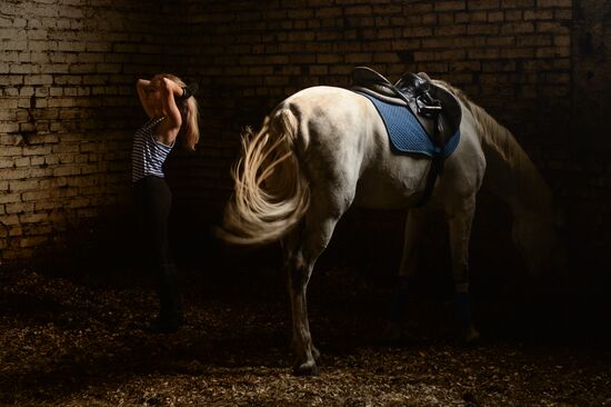 The Novosibirsk Region Show Jumping and Dressage Championships