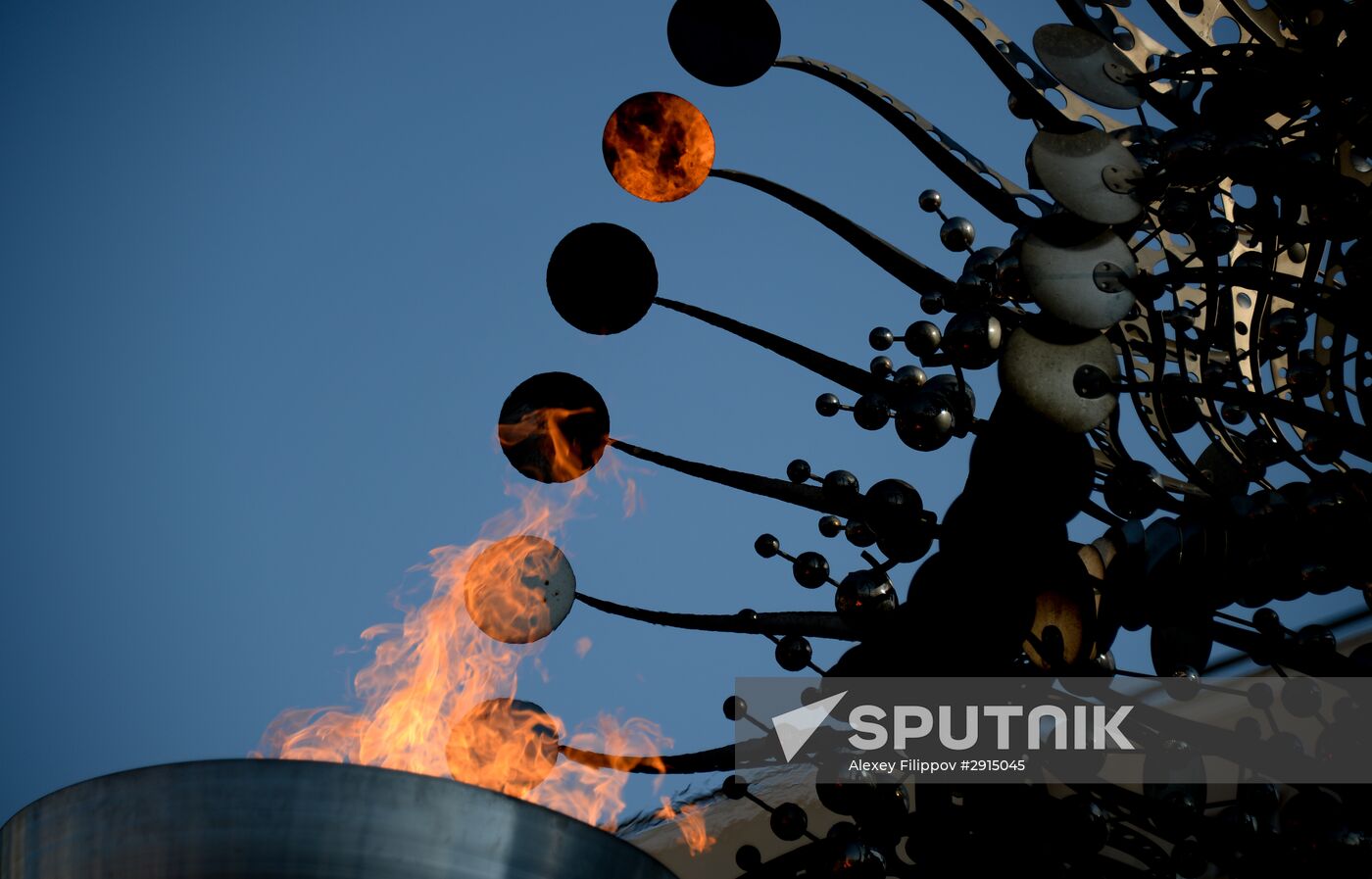 Cities of the world. Rio de Janeiro