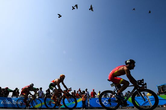 2016 Summer Olympics. Men's triathlon