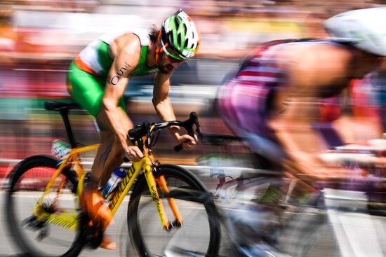 2016 Summer Olympics. Men's triathlon