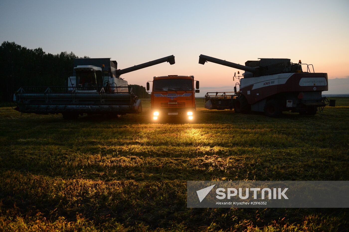 Grain harvest in Novosibirsk Region