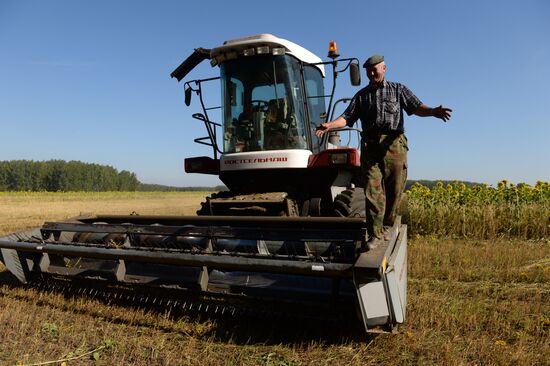 Grain harvest in Novosibirsk Region
