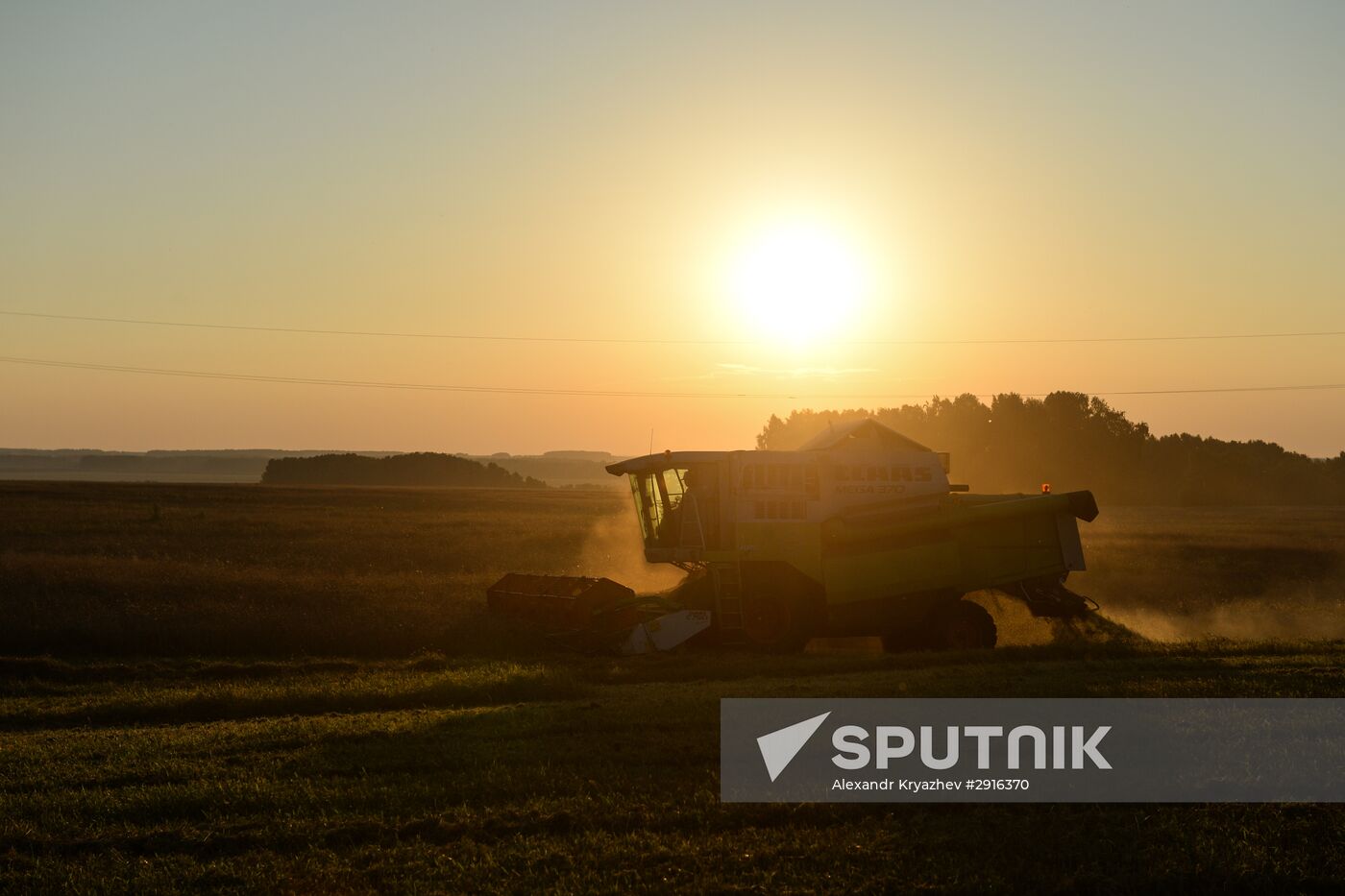 Grain harvest in Novosibirsk Region