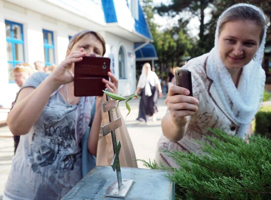 Transfiguration of the Savior celebrations in Russian cities