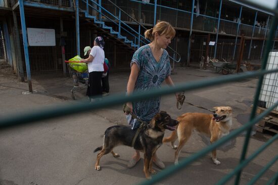 Animal shelter in Moscow