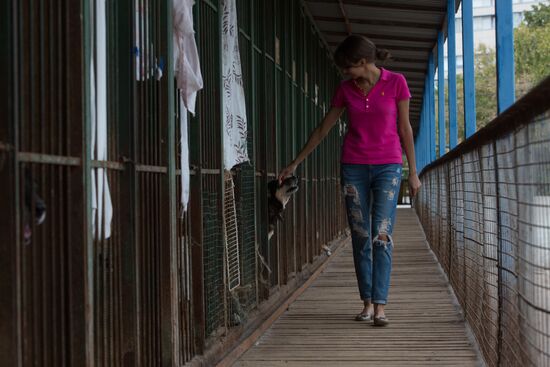 Animal shelter in Moscow