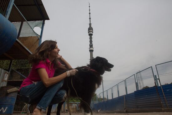 Animal shelter in Moscow
