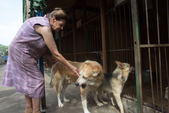 Animal shelter in Moscow