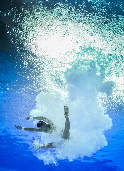 2016 Summer Olympics. Diving. Men. 10m platform
