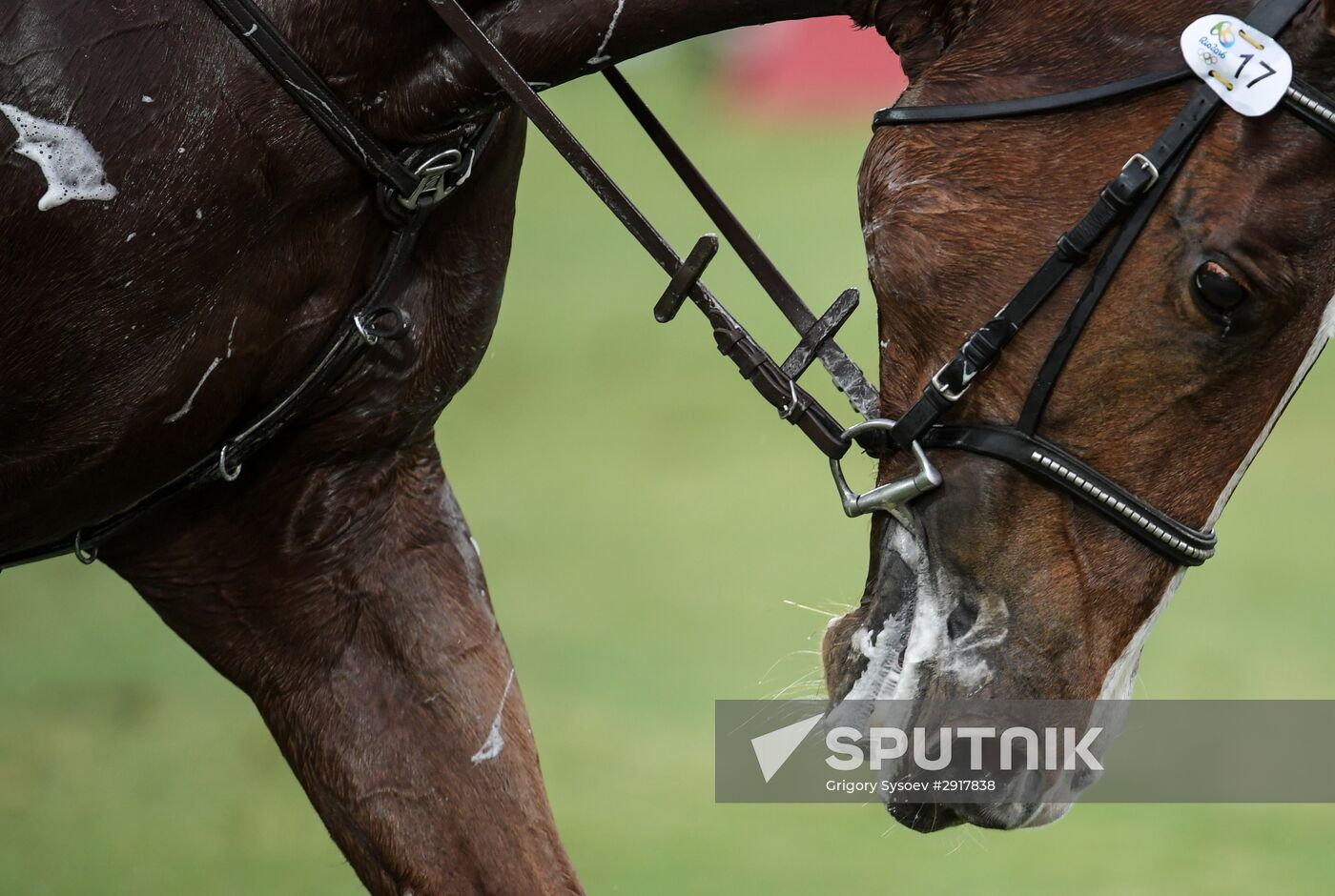 2016 Summer Olympics. Modern Pentathlon. Men