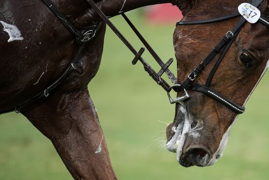 2016 Summer Olympics. Modern Pentathlon. Men
