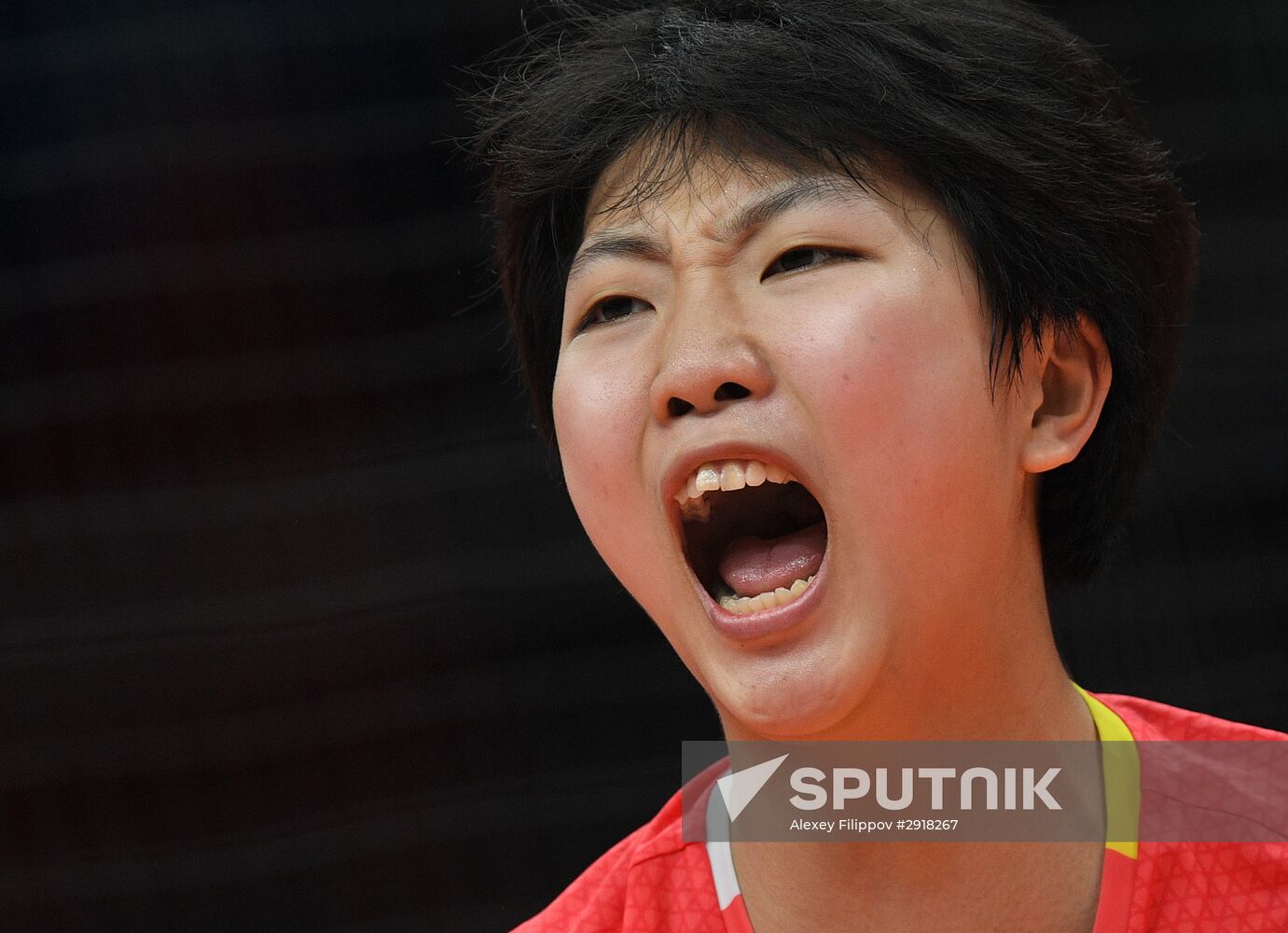 2016 Summer Olympics. Volleyball. Women's final