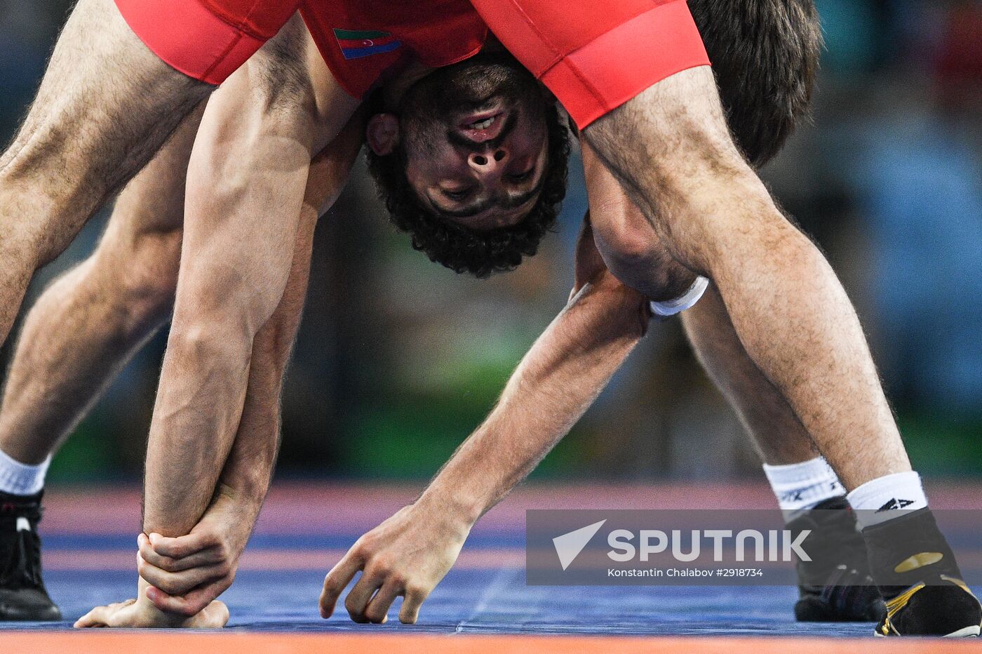 2016 Summer Olympics. Men's freestyle wrestling. Day Three