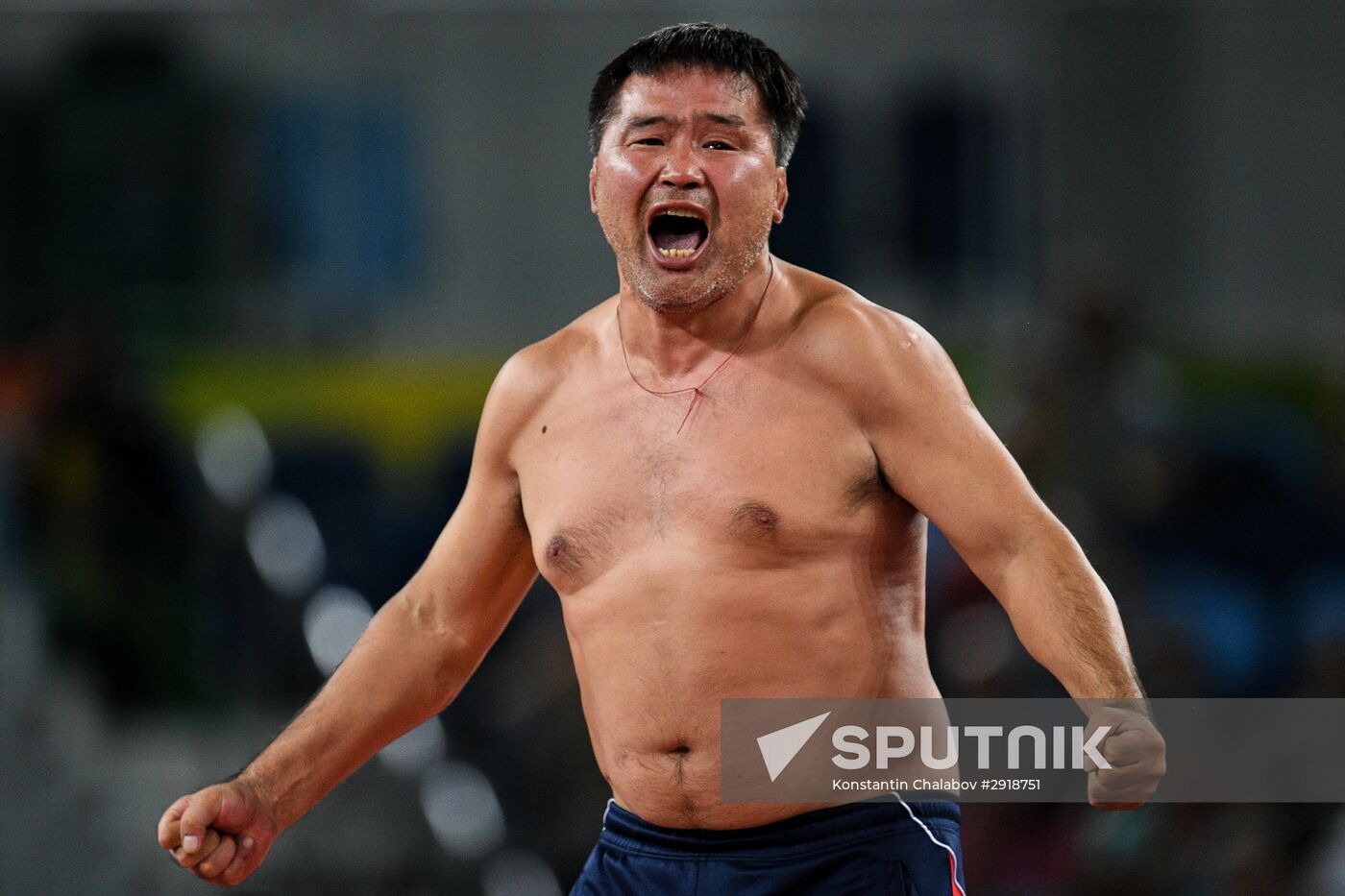 2016 Summer Olympics. Men's freestyle wrestling. Day Three