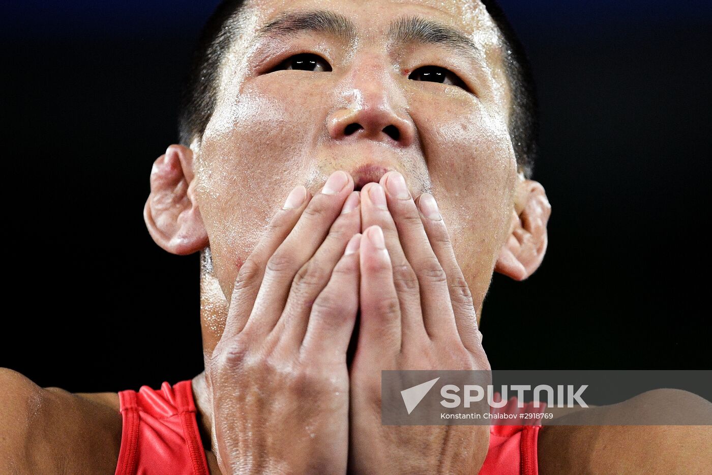 2016 Summer Olympics. Men's freestyle wrestling. Day Three