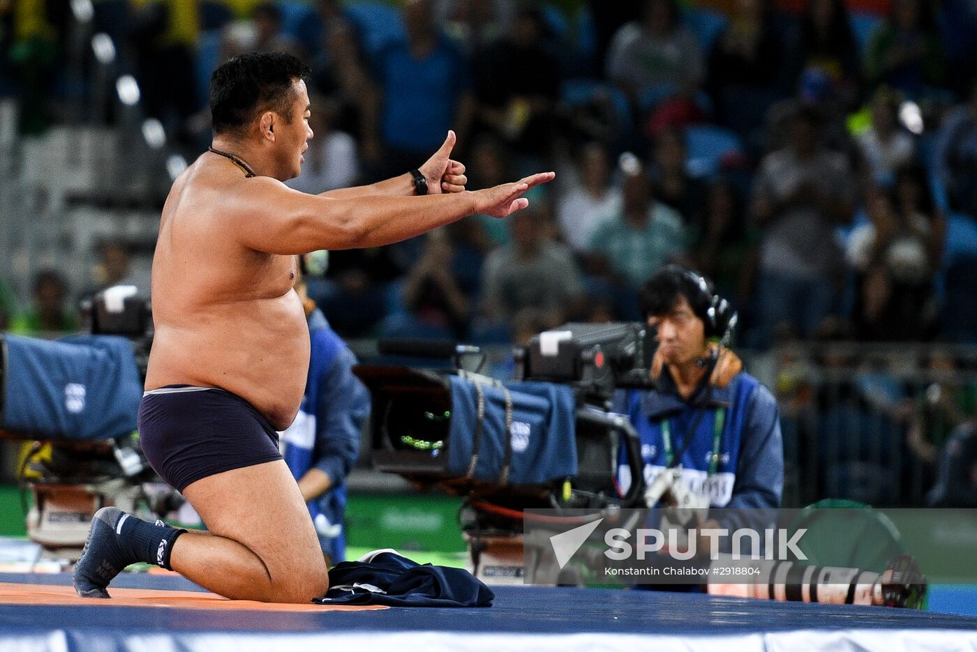 2016 Summer Olympics. Men's freestyle wrestling. Day Three