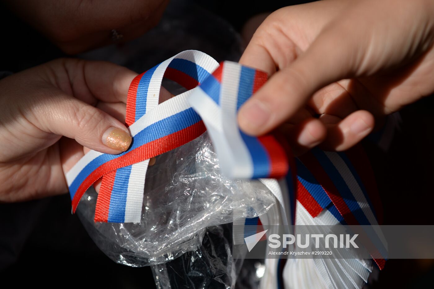 Russia's National Flag Day