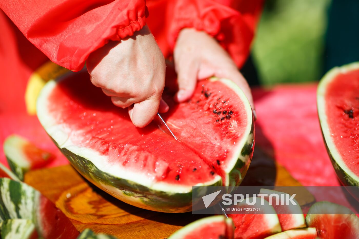 Kamyshin Watermelon Festival