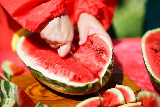 Kamyshin Watermelon Festival