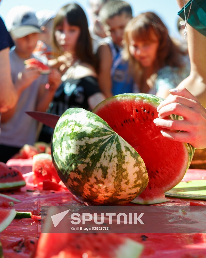 Kamyshin Watermelon Festival