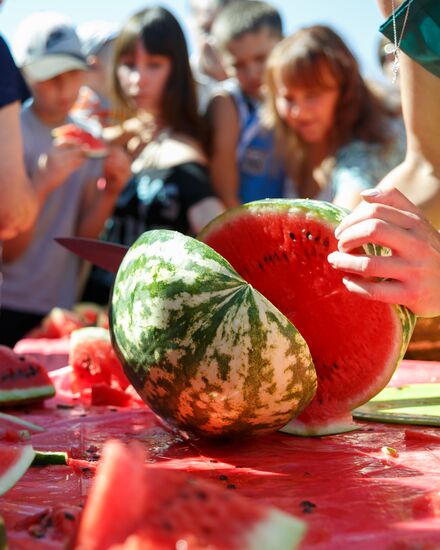 Kamyshin Watermelon Festival
