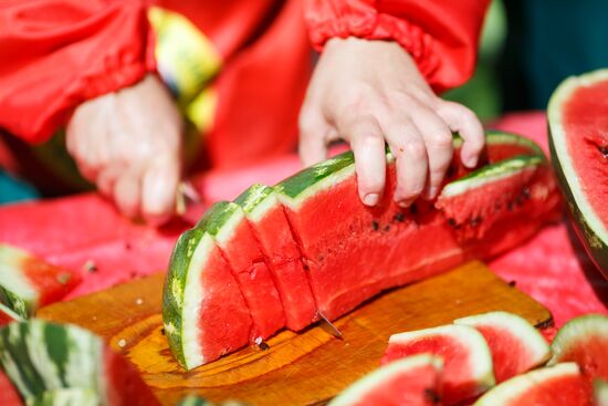 Kamyshin Watermelon Festival