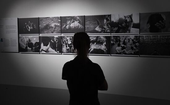 Exhibition of photos by Andrei Stenin International Press Photo Contest winners opens in Moscow
