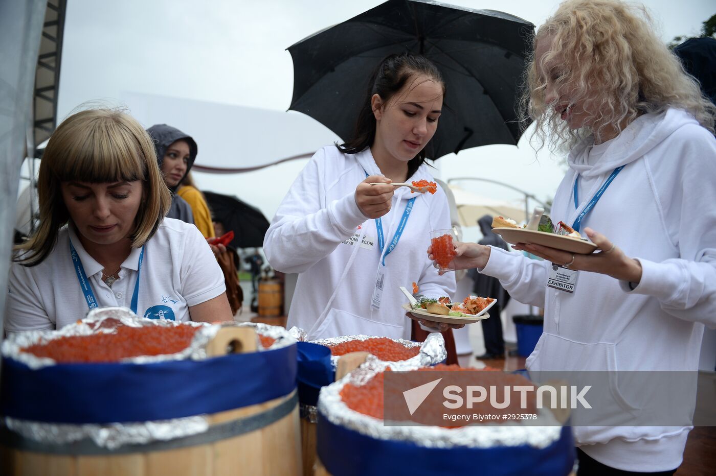 Far East Street Festival opens at 2016 Eastern Economic Forum