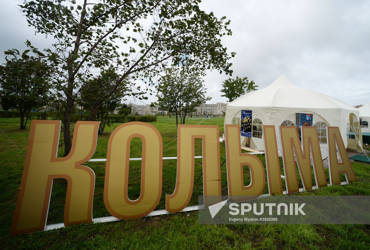 Preparation for Eastern Economic Forum