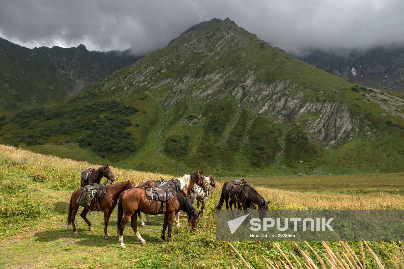 Kavkazsky Nature Reserve in Sochi