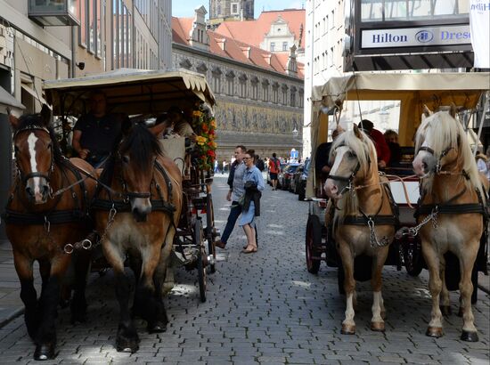 Cities of the world. Dresden.