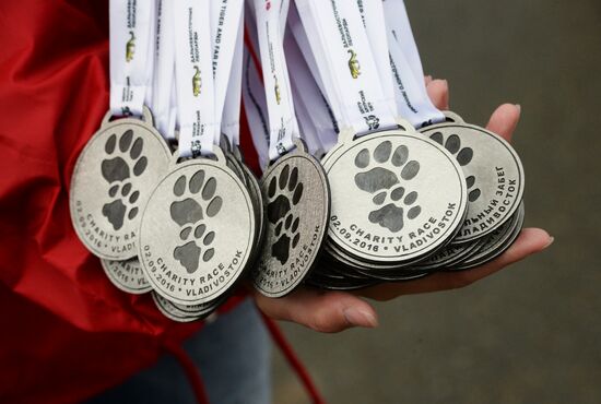 Charity run in support of Amur tiger and Far Eastern leopard in Vladivostok