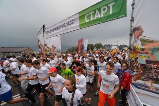 Charity run in support of Amur tiger and Far Eastern leopard in Vladivostok