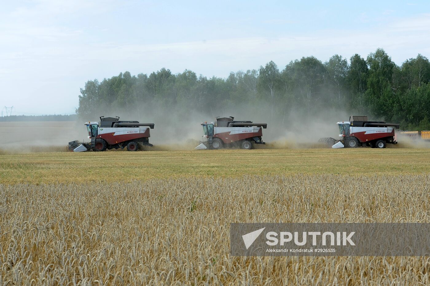 Grain harvesting in Chelyabinsk Region