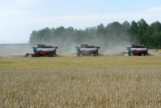 Grain harvesting in Chelyabinsk Region