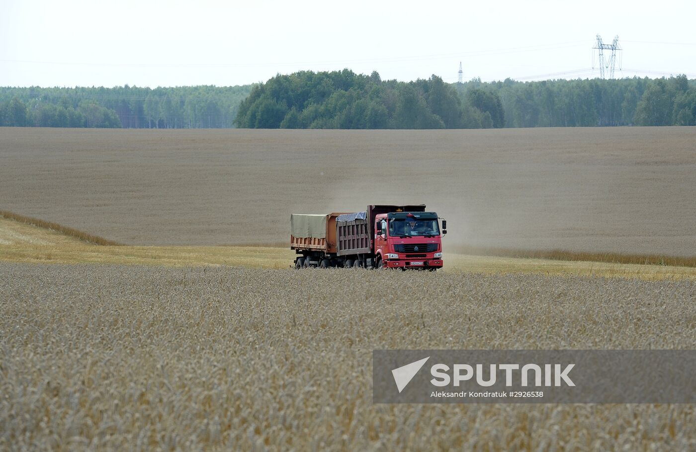 Grain harvesting in Chelyabinsk Region