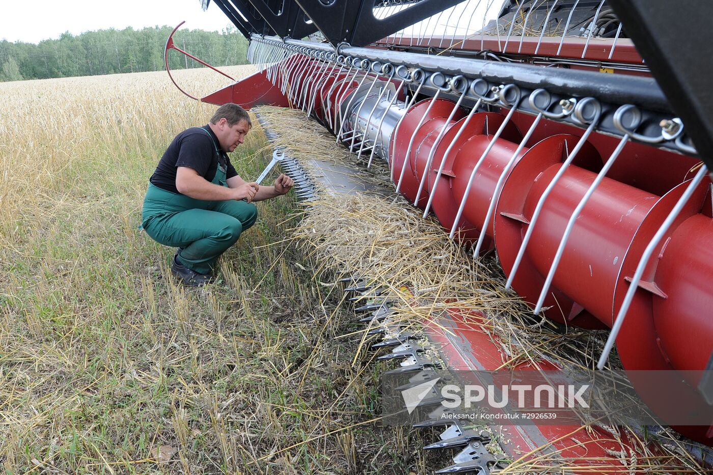 Grain harvesting in Chelyabinsk Region