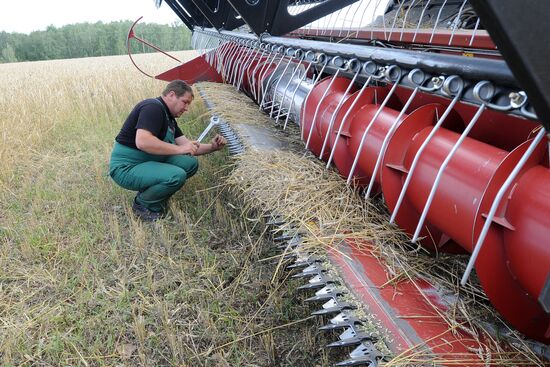 Grain harvesting in Chelyabinsk Region