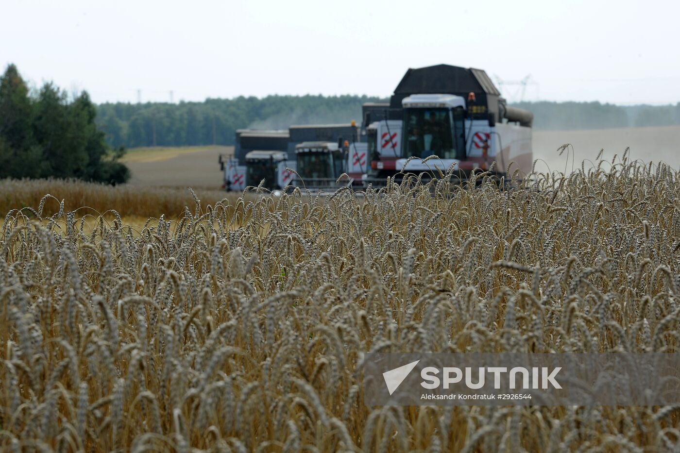 Grain harvesting in Chelyabinsk Region